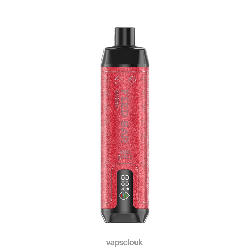 Vapsolo Flavours - VapSolo SHISHA Disposable Vape Two Apple Z02ZT12