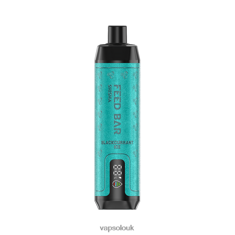 Vapsolo Nicotine - VapSolo SHISHA Disposable Vape Blackcurrant Ice Z02ZT2