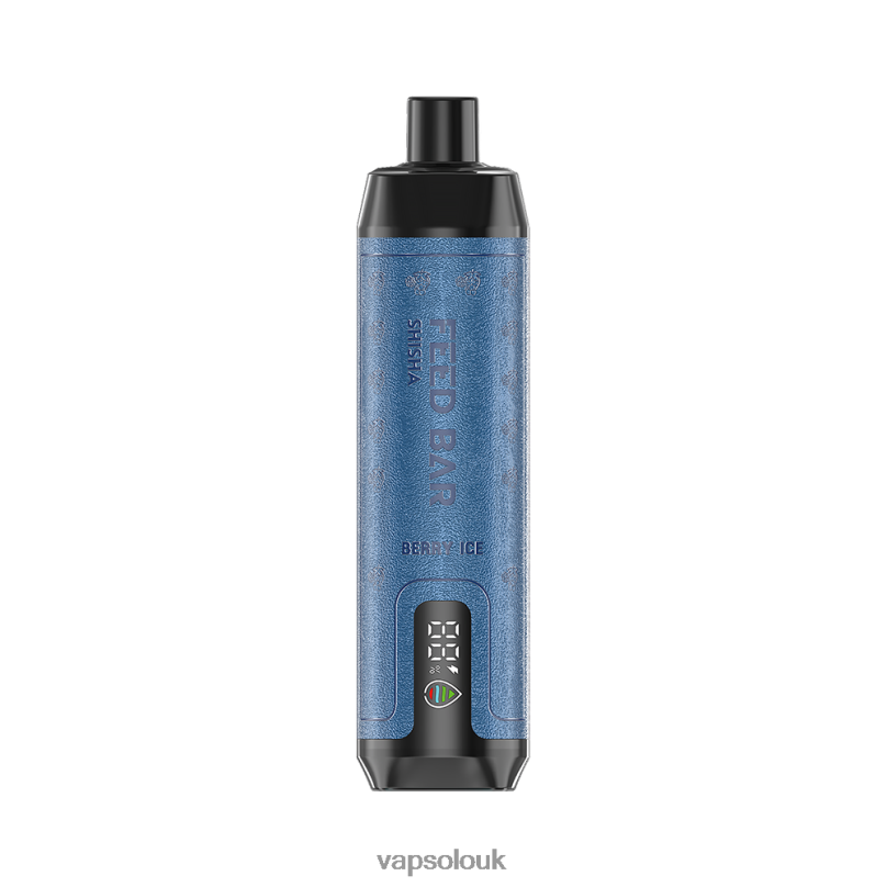 Vapsolo Uk - VapSolo SHISHA Disposable Vape Berry Ice Z02ZT1
