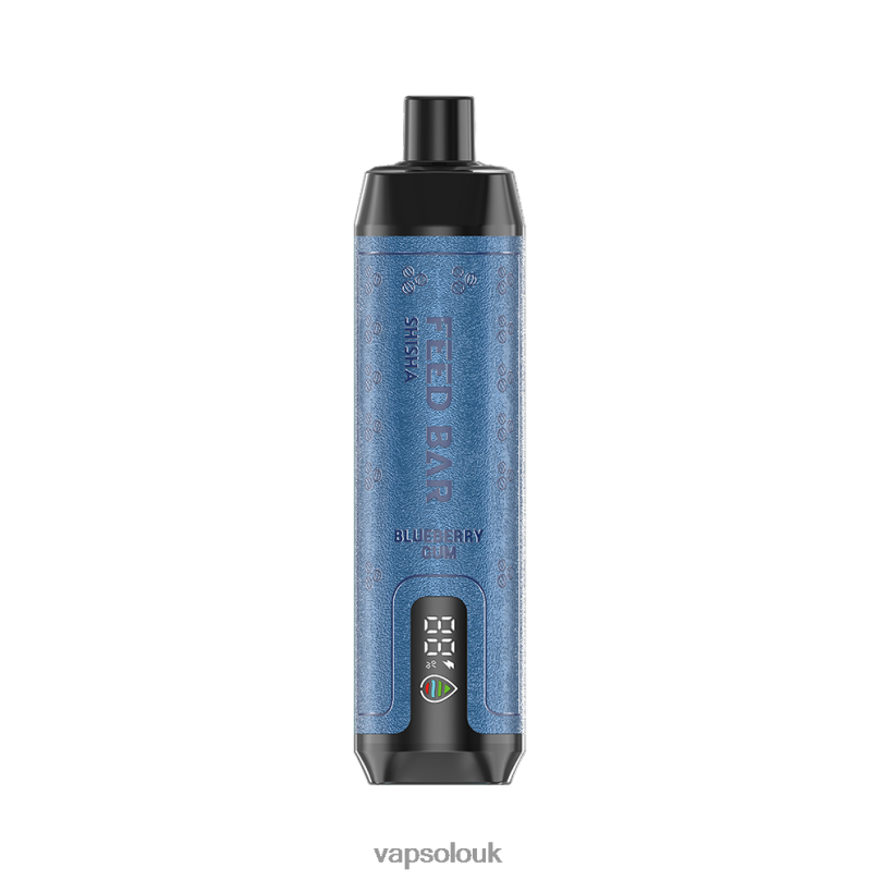 Vapsolo Uk - VapSolo SHISHA Disposable Vape Blueberry Gum Z02ZT4