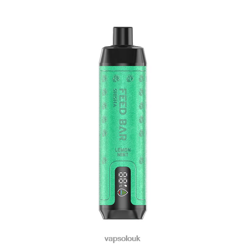 Vapsolo Uk - VapSolo SHISHA Disposable Vape Lemon Mint Z02ZT7