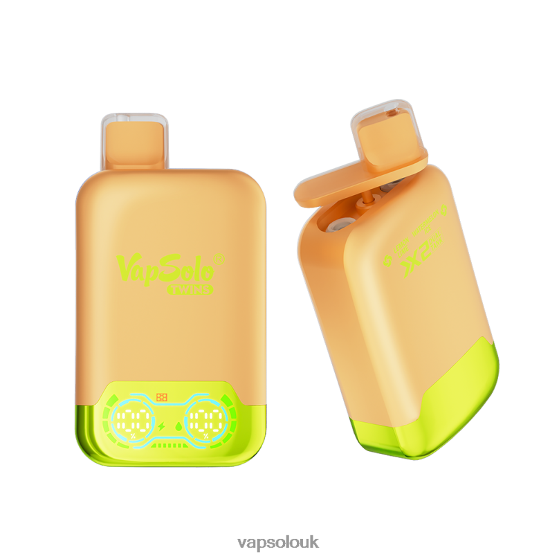 Vapsolo Nicotine - VapSolo TWINS Disposable Vape Lemone Lime & Watermelon Ice Z02ZT29