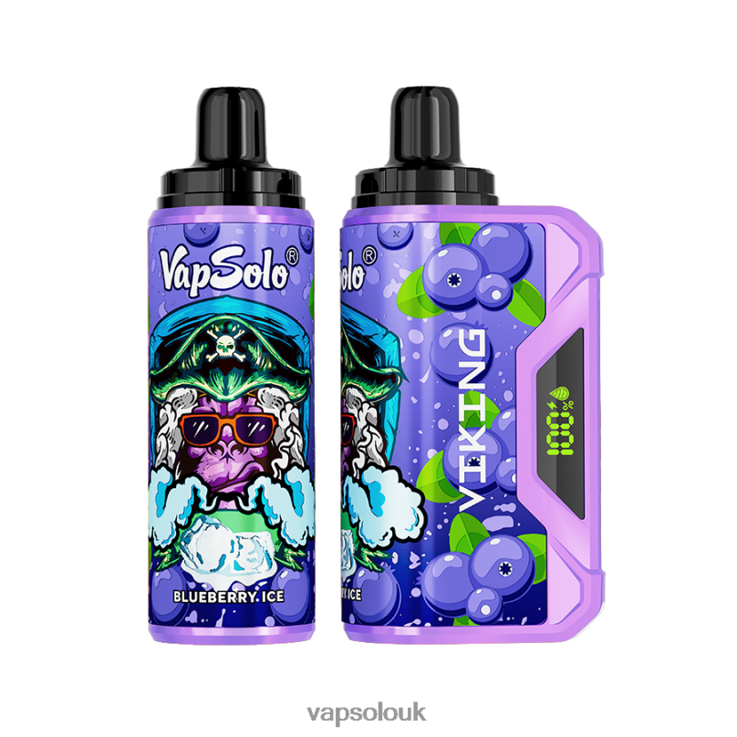 Vapsolo Flavours - VapSolo VIKING Disposable Vape Blueberry Z02ZT36